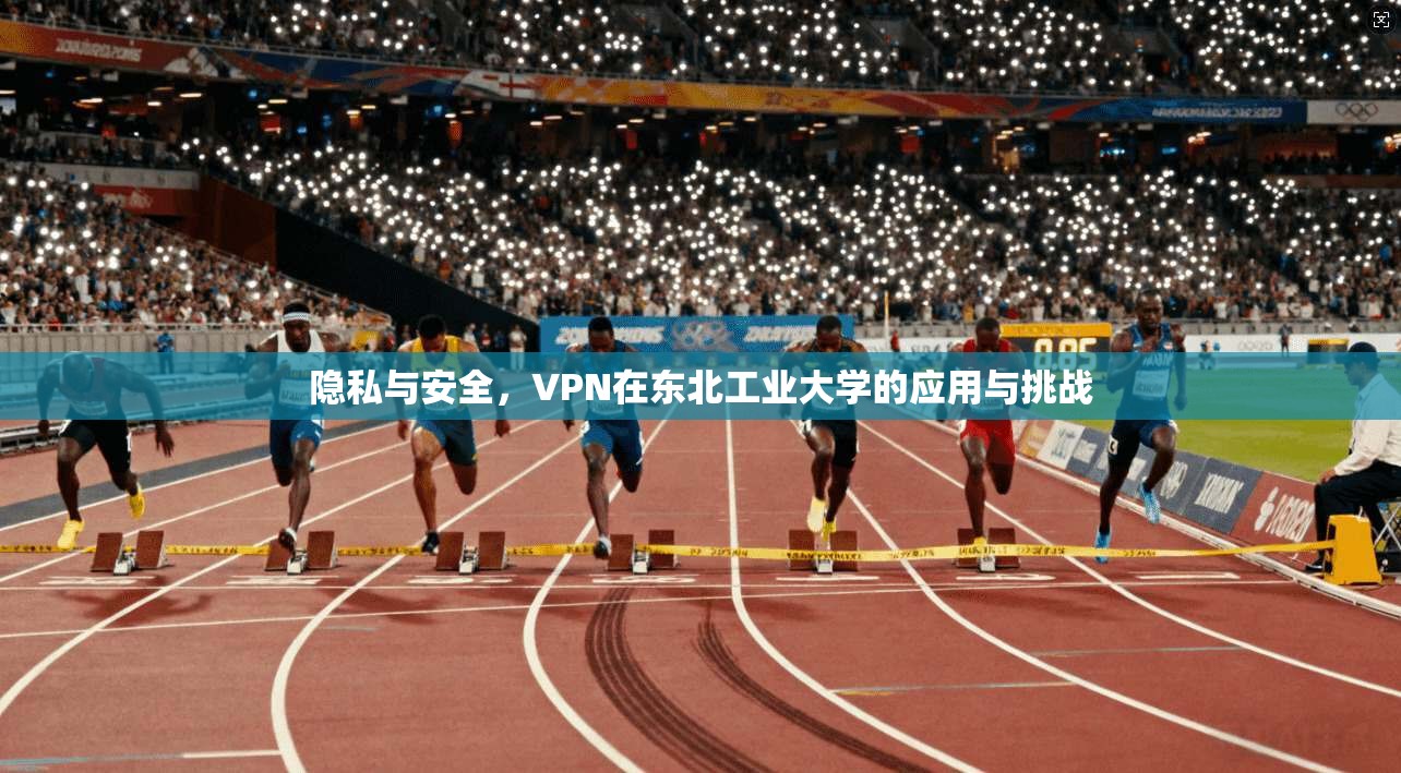 隐私与安全，VPN在东北工业大学的应用与挑战  第1张