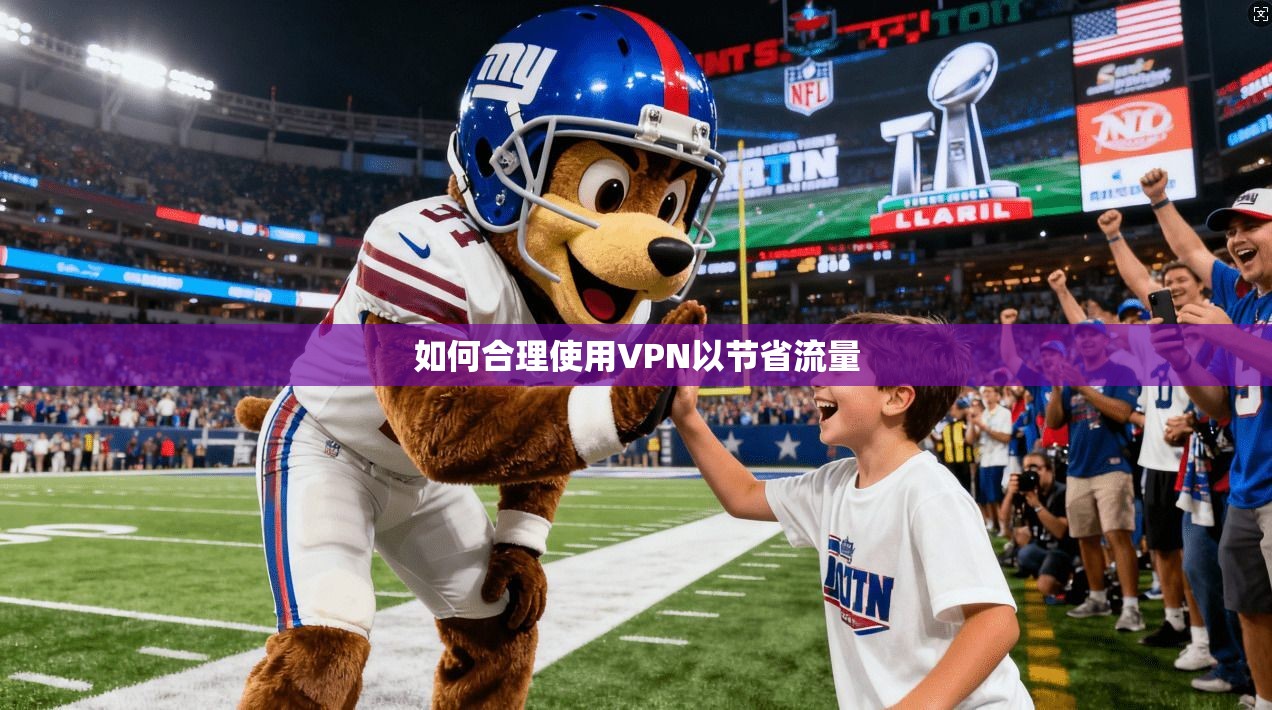 如何合理使用VPN以节省流量  第1张