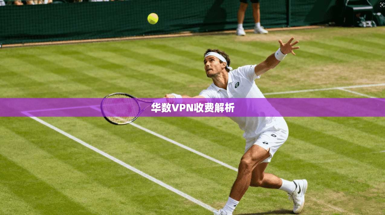 华数VPN收费解析  第1张