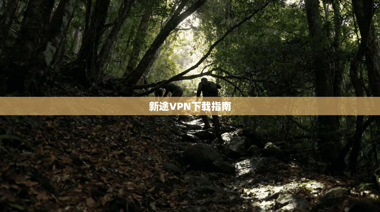 新途VPN下载指南  第1张
