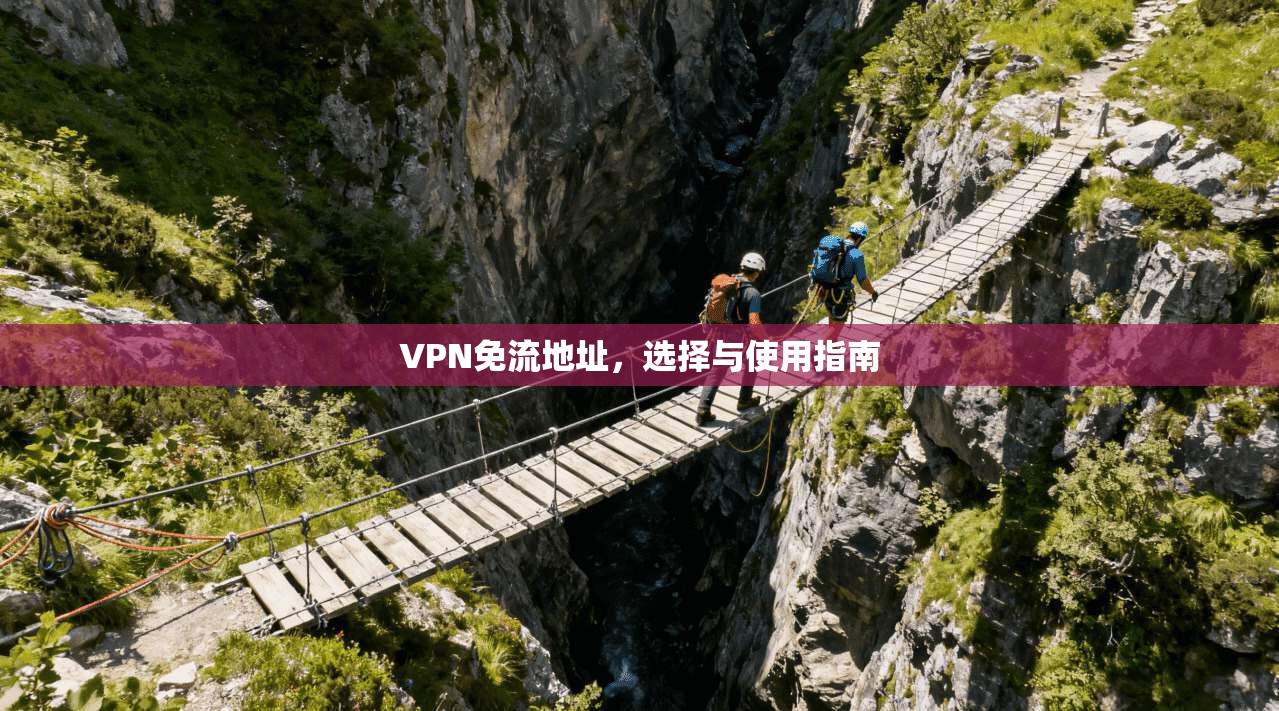 VPN免流地址，选择与使用指南  第1张