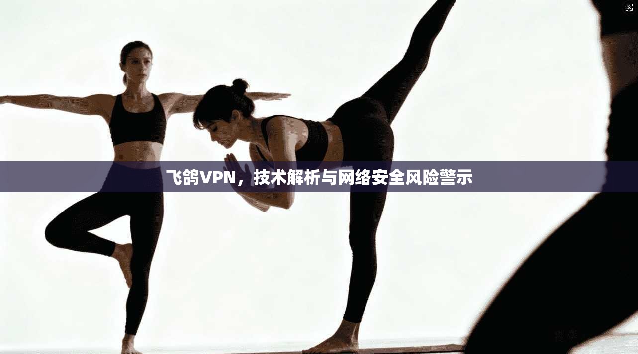 飞鸽VPN，技术解析与网络安全风险警示