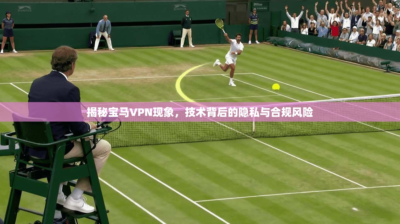 揭秘宝马VPN现象，技术背后的隐私与合规风险