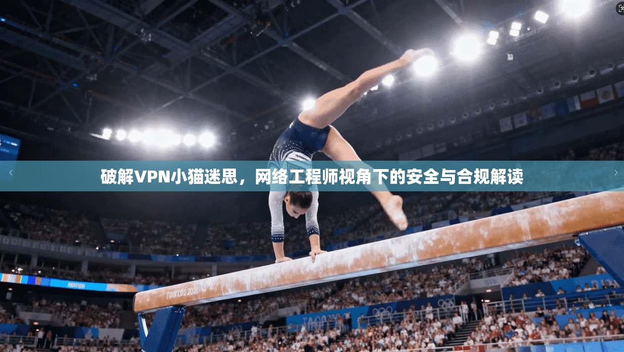 破解VPN小猫迷思，网络工程师视角下的安全与合规解读