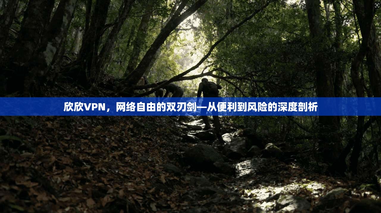 欣欣VPN，网络自由的双刃剑—从便利到风险的深度剖析