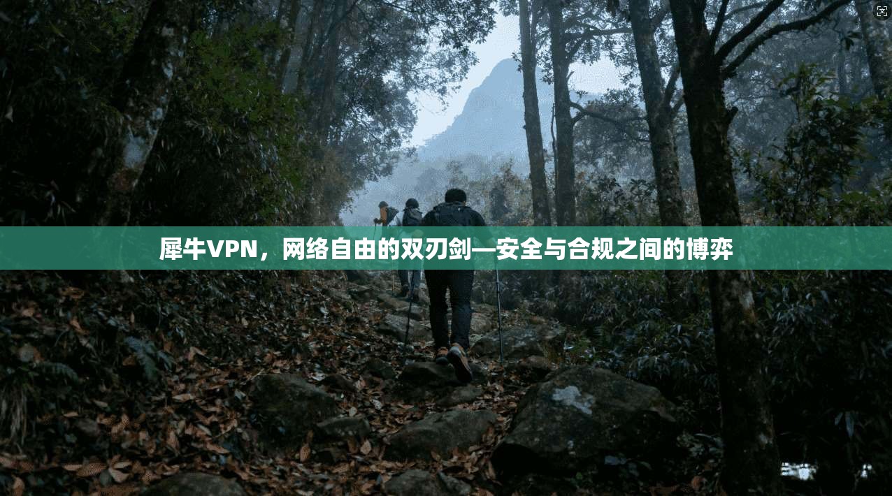 犀牛VPN，网络自由的双刃剑—安全与合规之间的博弈