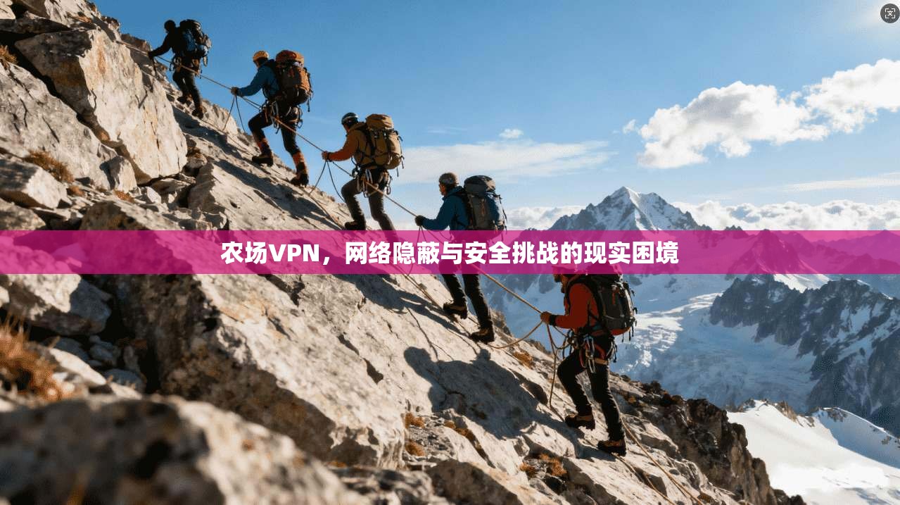 农场VPN，网络隐蔽与安全挑战的现实困境