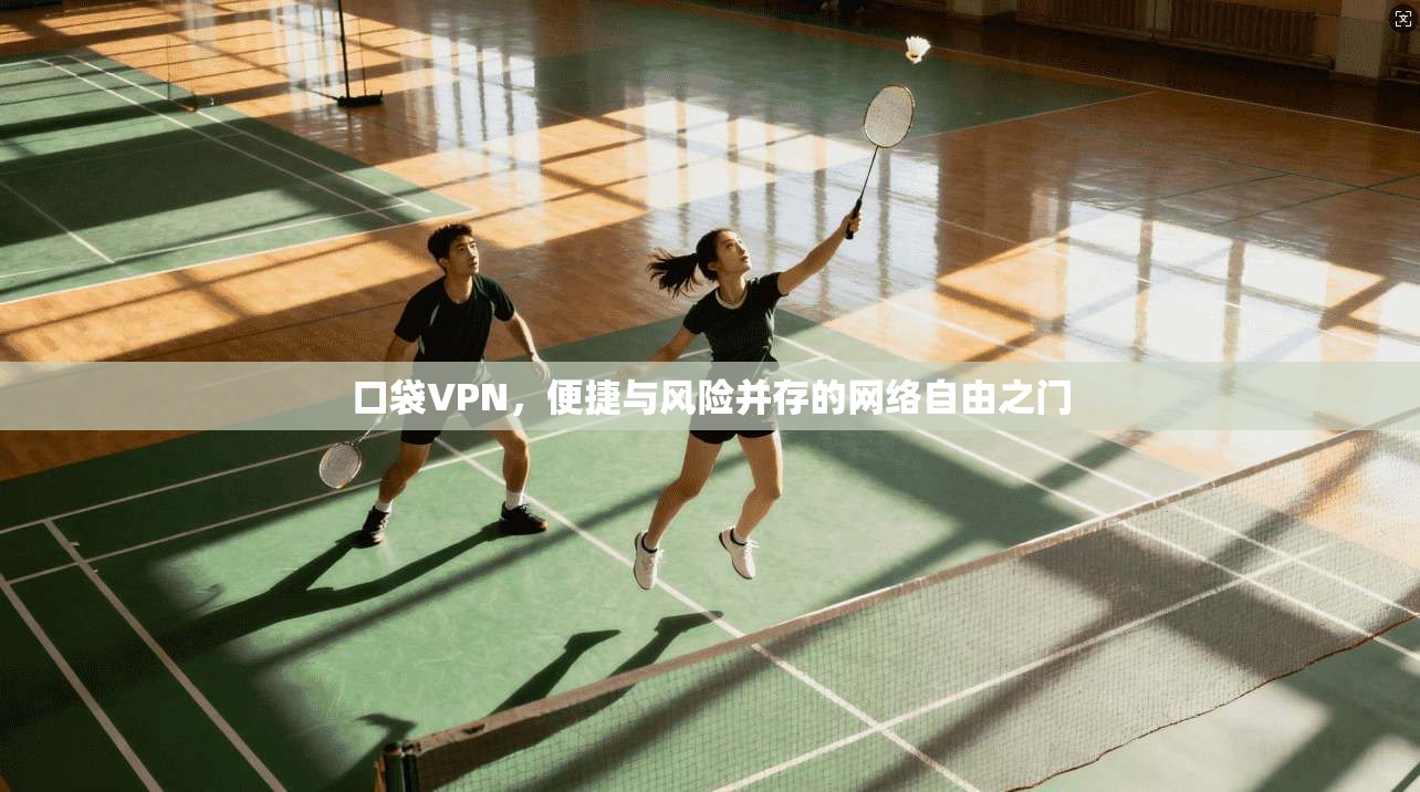 口袋VPN，便捷与风险并存的网络自由之门