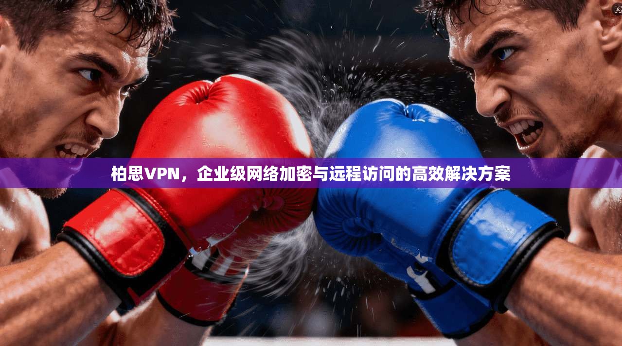 柏思VPN，企业级网络加密与远程访问的高效解决方案
