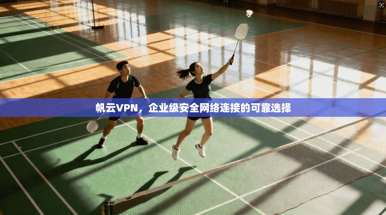 帆云VPN，企业级安全网络连接的可靠选择