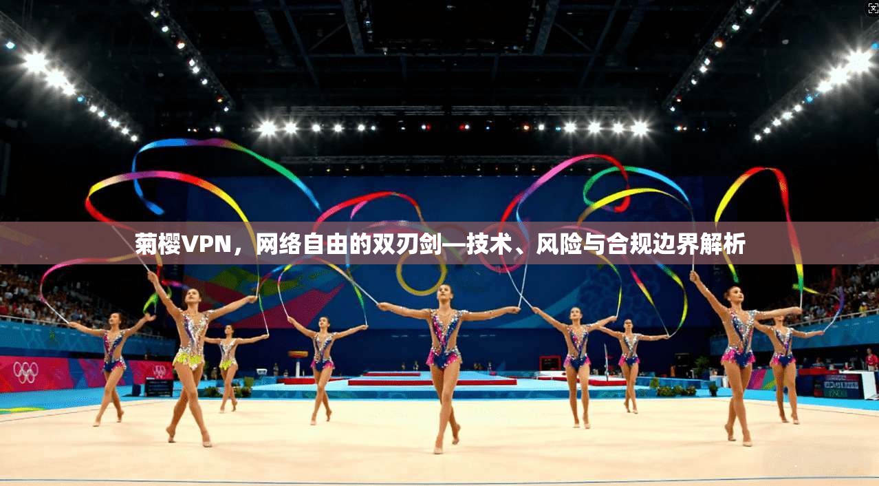 菊樱VPN，网络自由的双刃剑—技术、风险与合规边界解析
