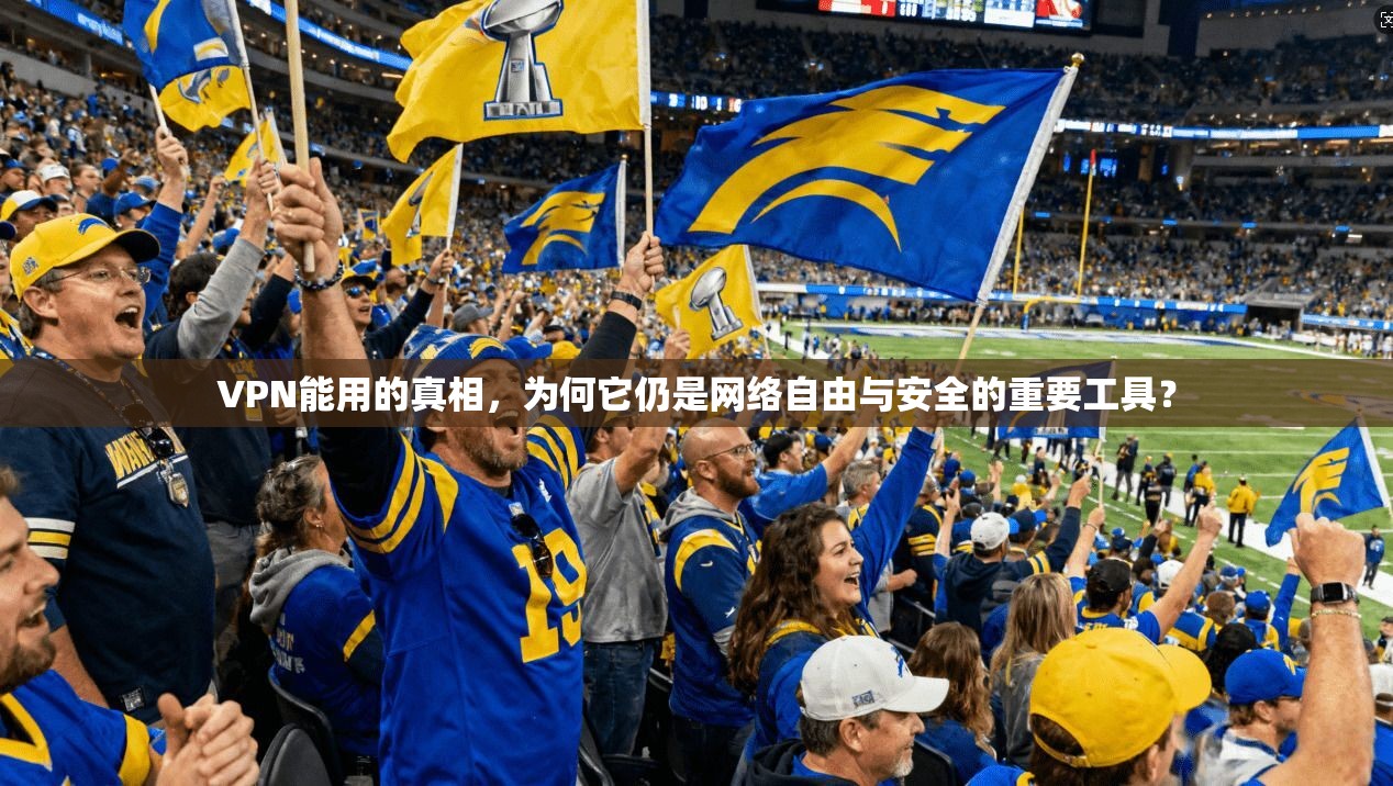 VPN能用的真相，为何它仍是网络自由与安全的重要工具？