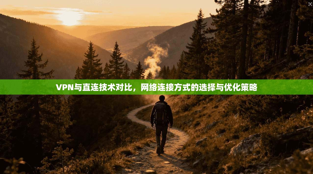 VPN与直连技术对比，网络连接方式的选择与优化策略