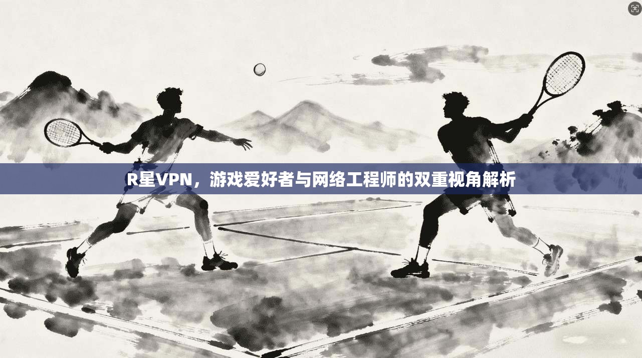 R星VPN，游戏爱好者与网络工程师的双重视角解析
