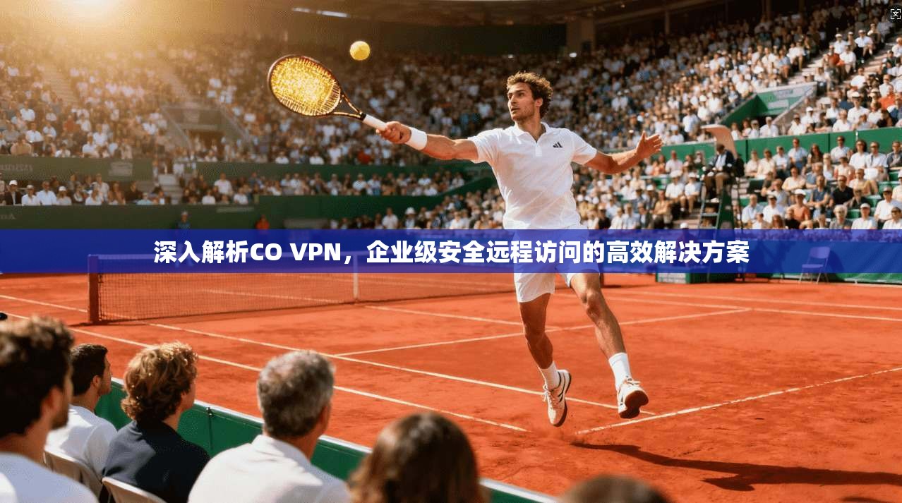 深入解析CO VPN，企业级安全远程访问的高效解决方案