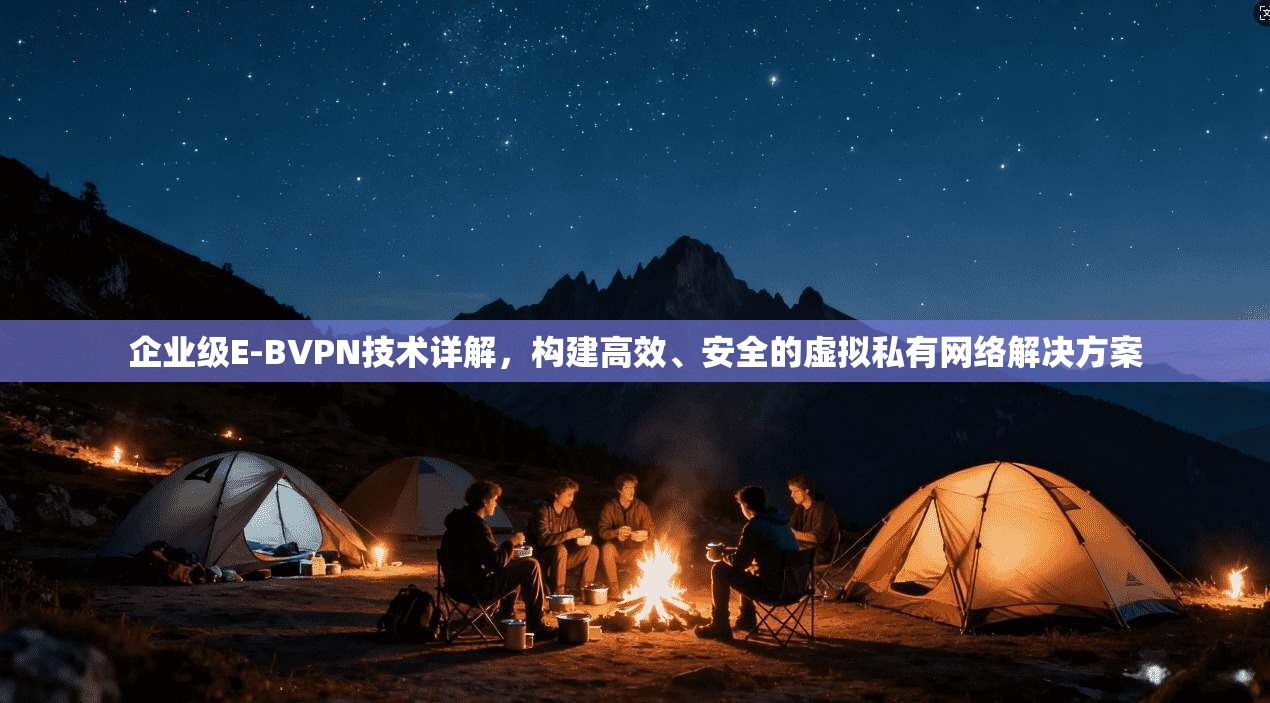 企业级E-BVPN技术详解，构建高效、安全的虚拟私有网络解决方案
