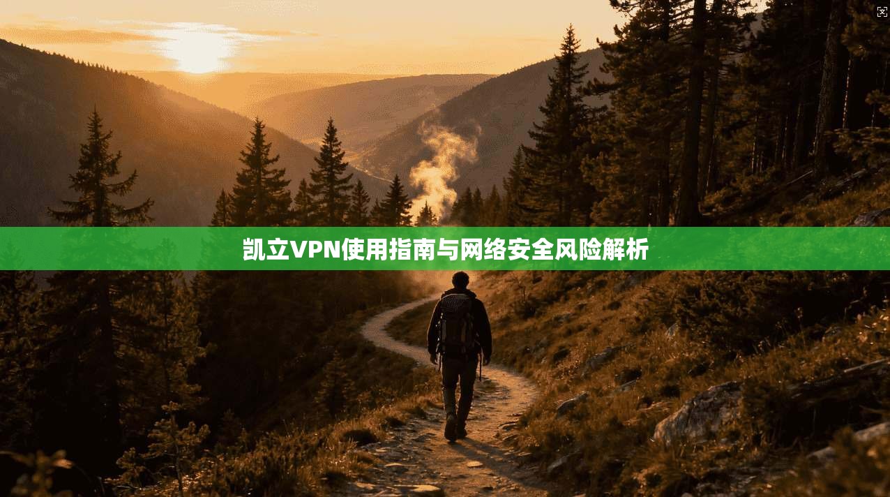 凯立VPN使用指南与网络安全风险解析