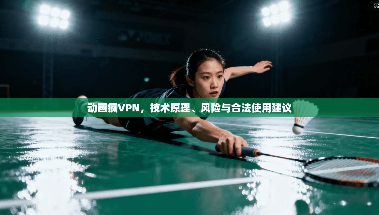 动画疯VPN，技术原理、风险与合法使用建议