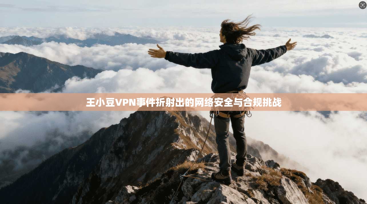 王小豆VPN事件折射出的网络安全与合规挑战