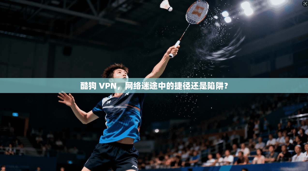 酷狗 VPN，网络迷途中的捷径还是陷阱？