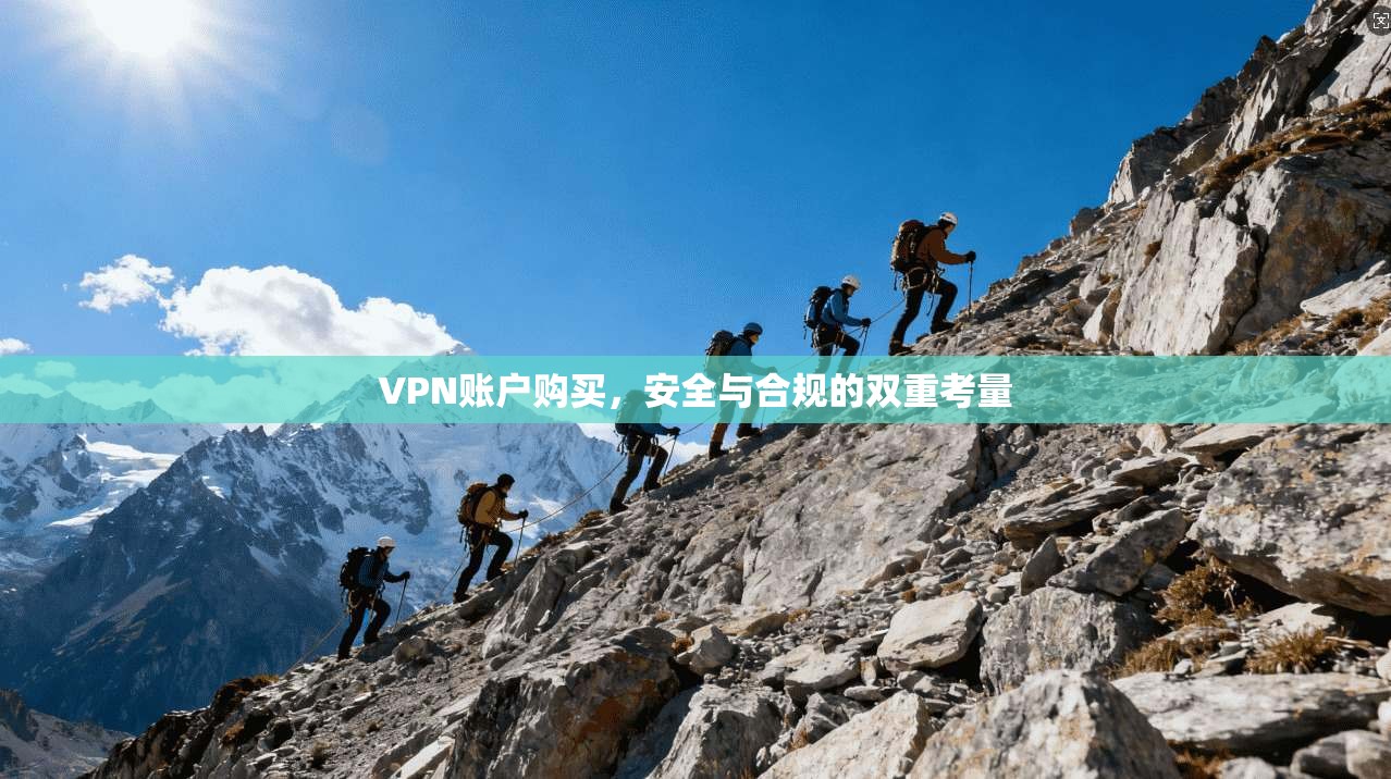 VPN账户购买，安全与合规的双重考量