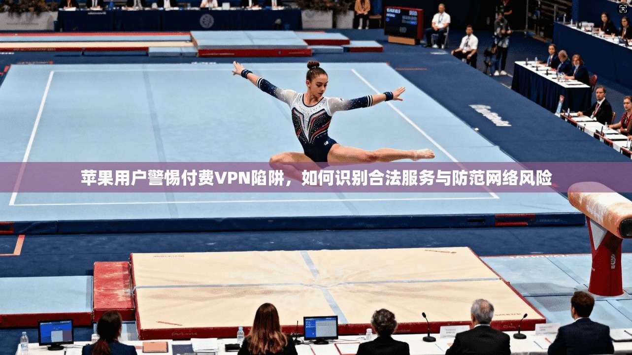 苹果用户警惕付费VPN陷阱，如何识别合法服务与防范网络风险