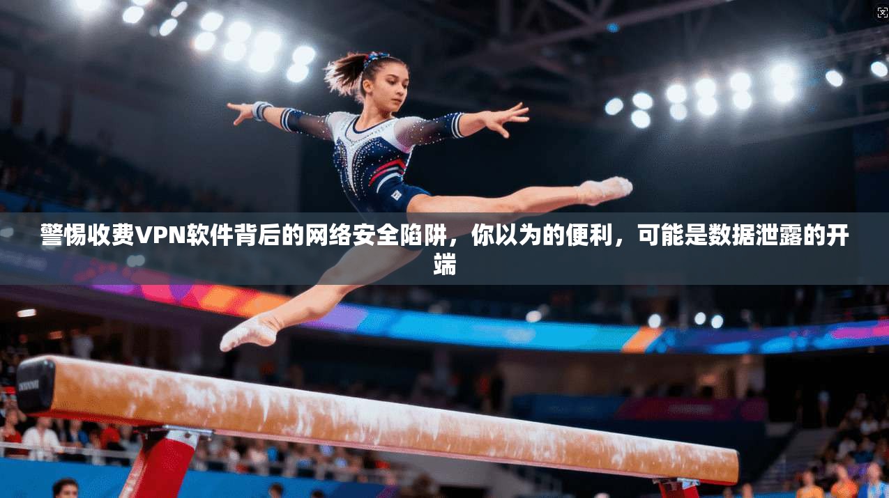 警惕收费VPN软件背后的网络安全陷阱，你以为的便利，可能是数据泄露的开端