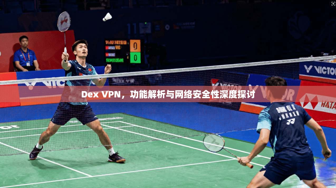 Dex VPN，功能解析与网络安全性深度探讨
