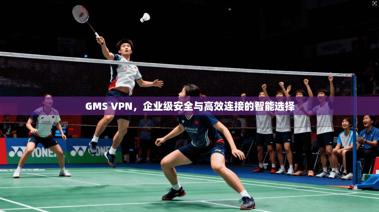 GMS VPN，企业级安全与高效连接的智能选择