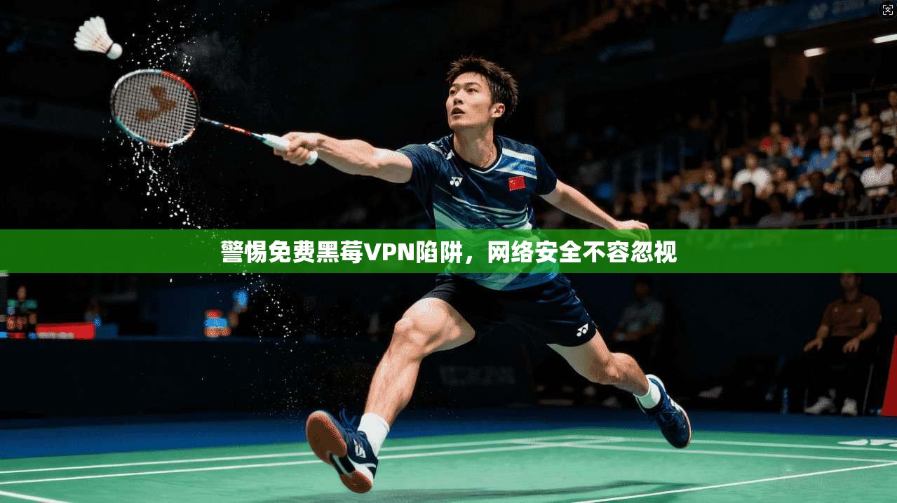 警惕免费黑莓VPN陷阱，网络安全不容忽视