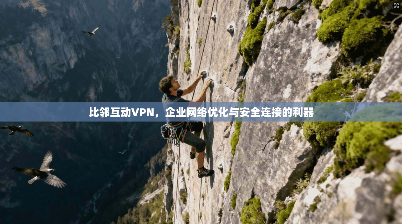 比邻互动VPN，企业网络优化与安全连接的利器
