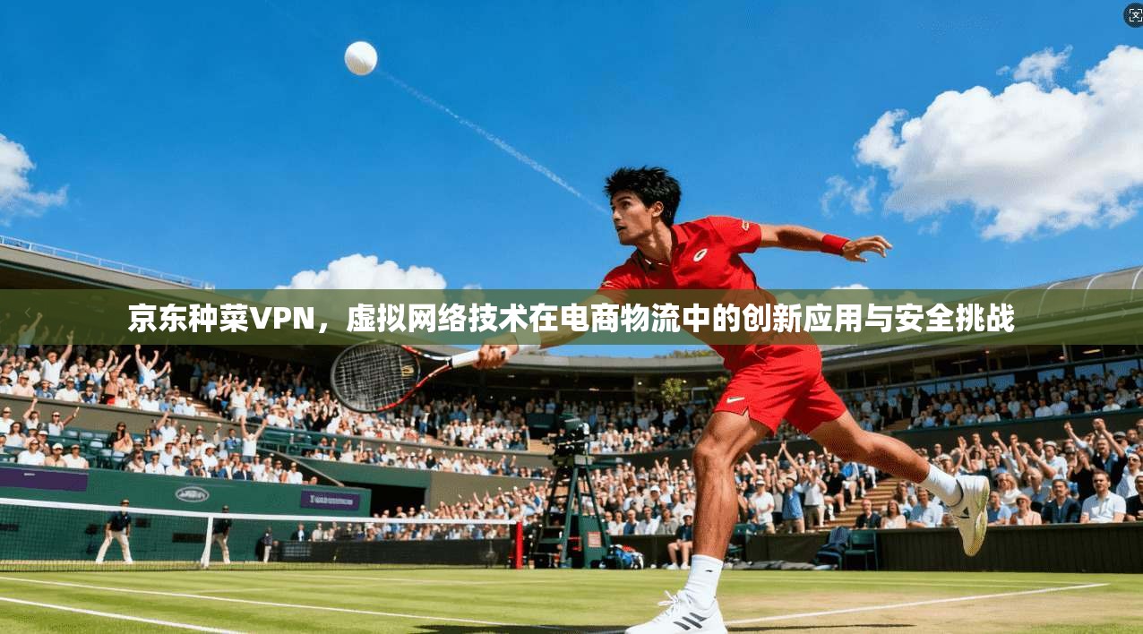 京东种菜VPN，虚拟网络技术在电商物流中的创新应用与安全挑战