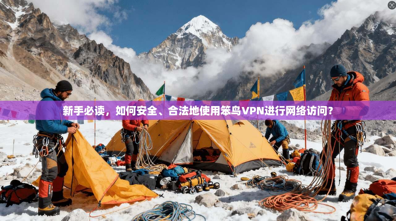 新手必读，如何安全、合法地使用笨鸟VPN进行网络访问？