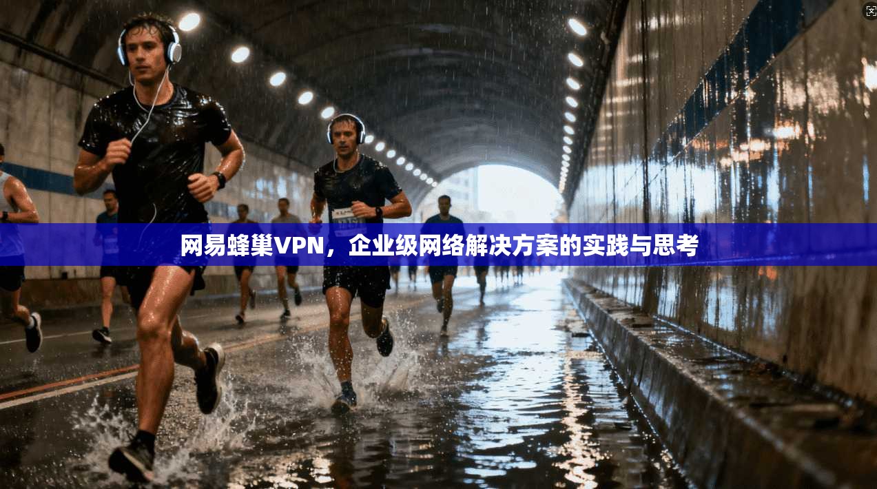 网易蜂巢VPN，企业级网络解决方案的实践与思考