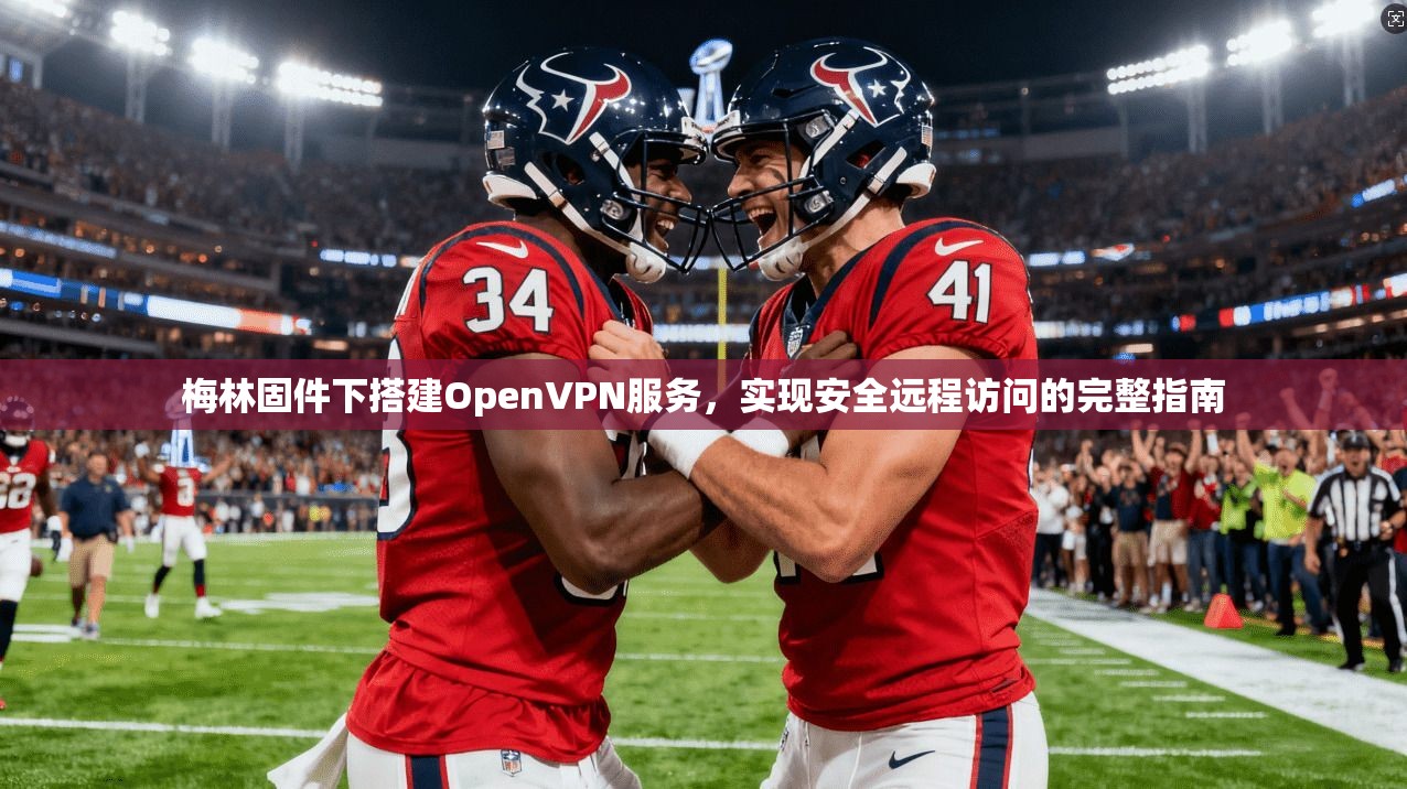 梅林固件下搭建OpenVPN服务，实现安全远程访问的完整指南
