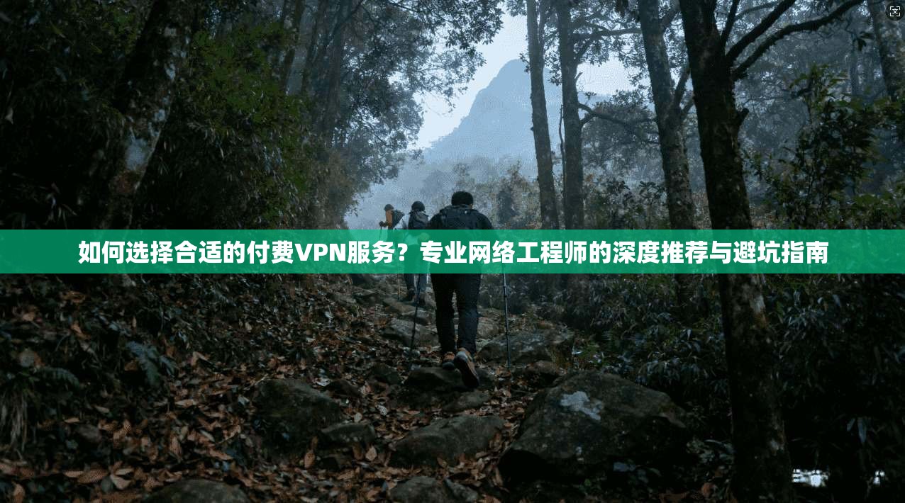 如何选择合适的付费VPN服务？专业网络工程师的深度推荐与避坑指南