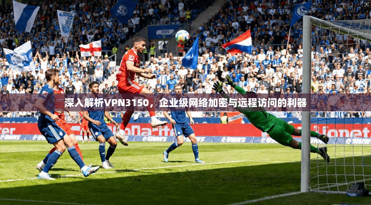 深入解析VPN3150，企业级网络加密与远程访问的利器
