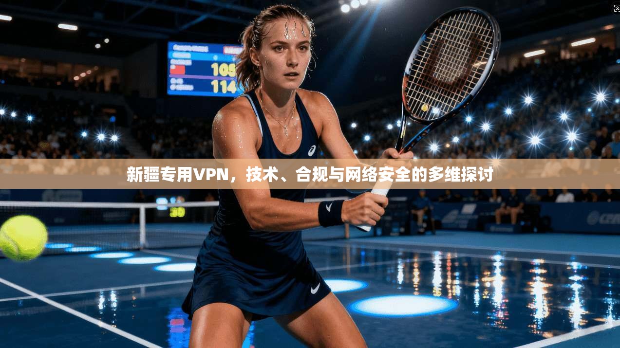 新疆专用VPN，技术、合规与网络安全的多维探讨