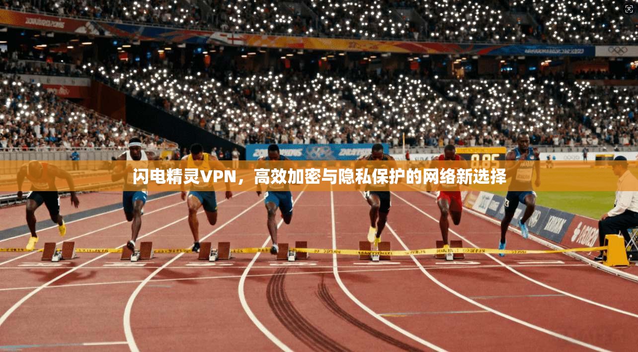 闪电精灵VPN，高效加密与隐私保护的网络新选择