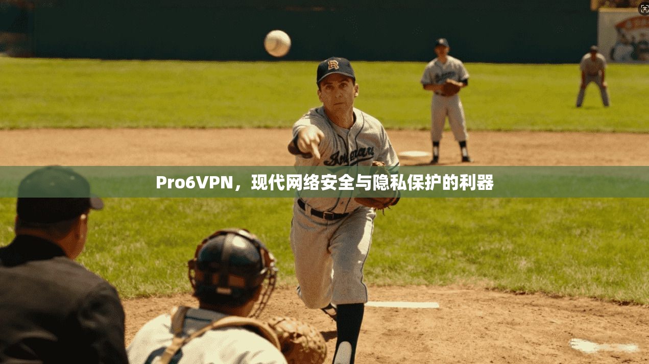 Pro6VPN，现代网络安全与隐私保护的利器