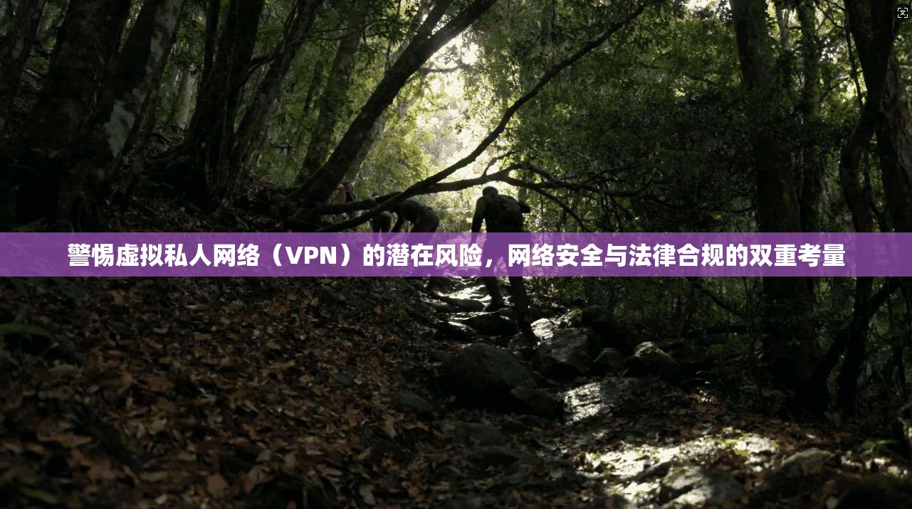 警惕虚拟私人网络（VPN）的潜在风险，网络安全与法律合规的双重考量