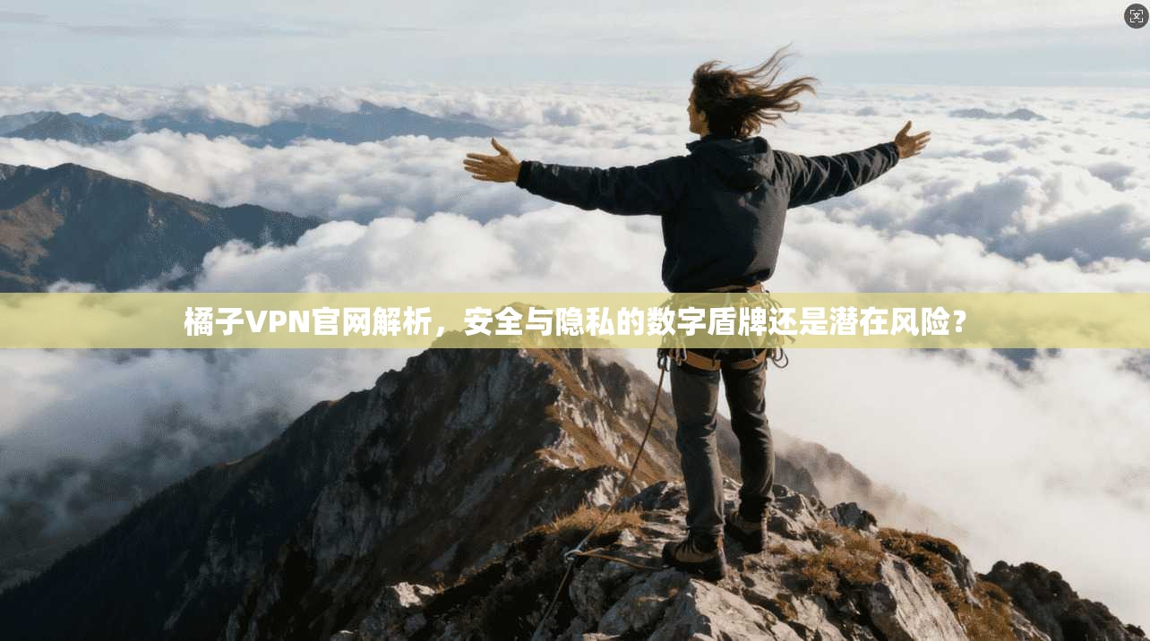 橘子VPN官网解析，安全与隐私的数字盾牌还是潜在风险？