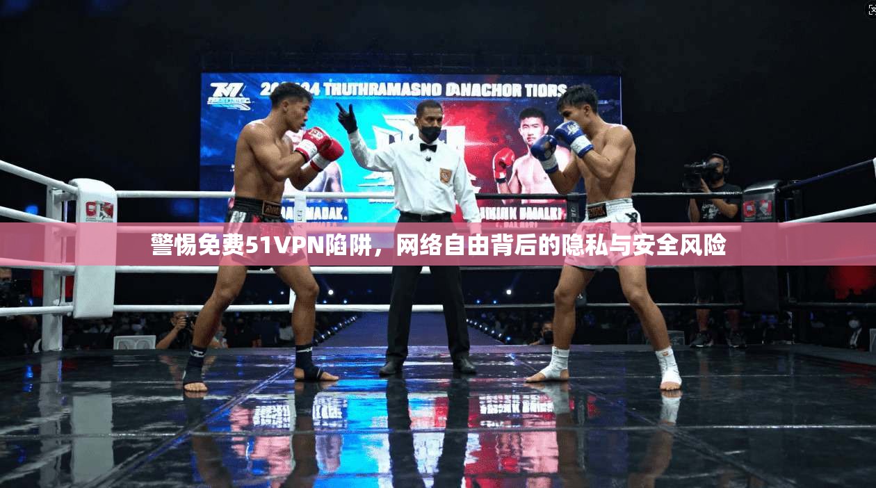 警惕免费51VPN陷阱，网络自由背后的隐私与安全风险