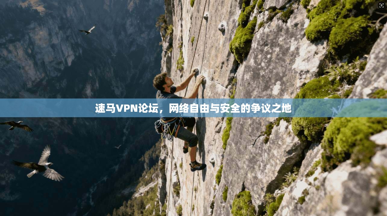 速马VPN论坛，网络自由与安全的争议之地