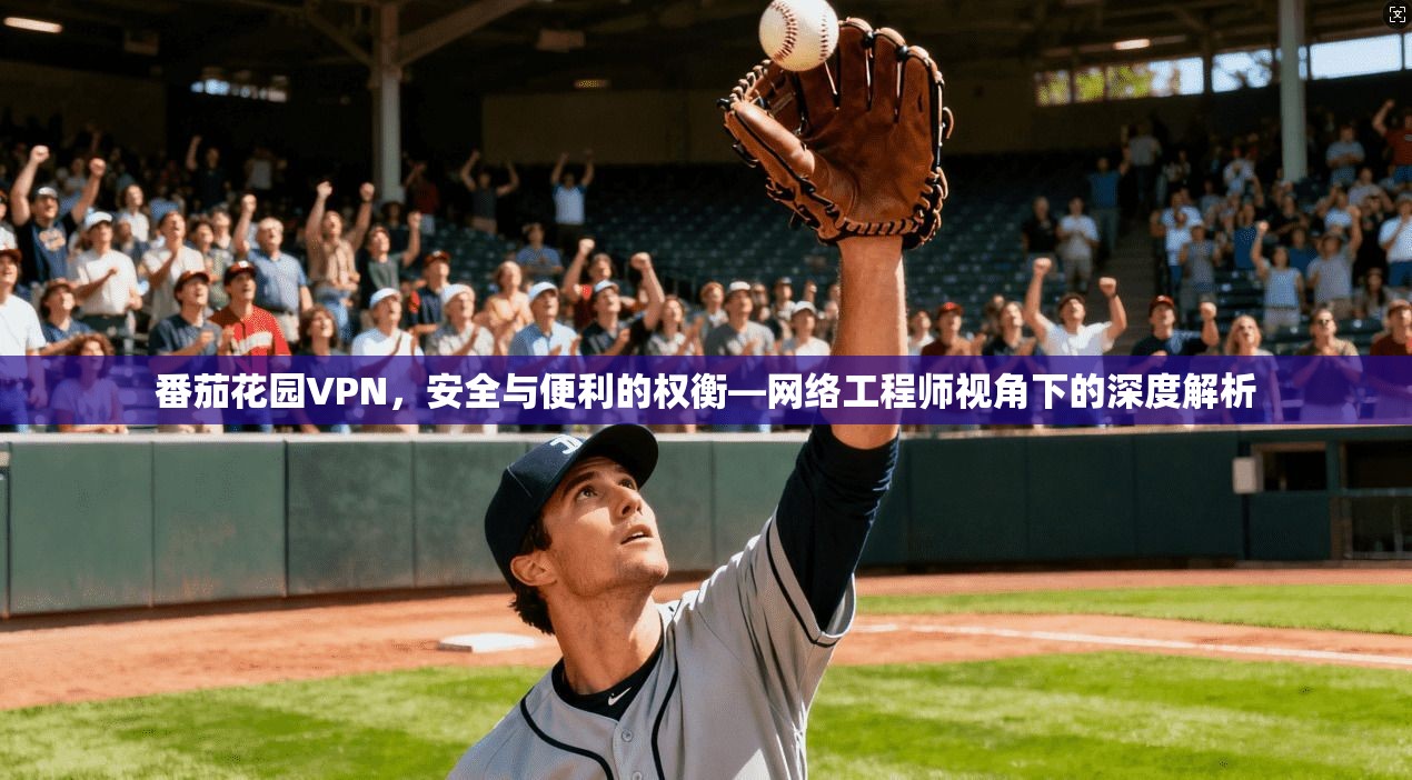 番茄花园VPN，安全与便利的权衡—网络工程师视角下的深度解析