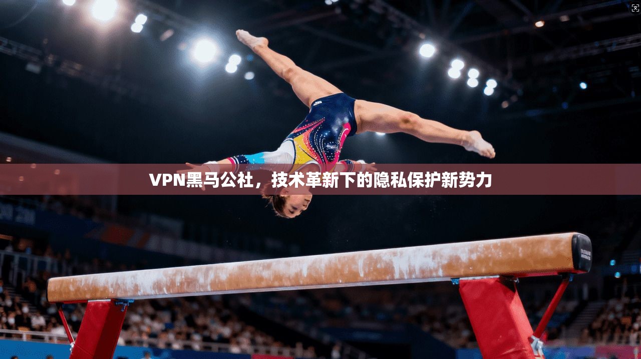 VPN黑马公社，技术革新下的隐私保护新势力