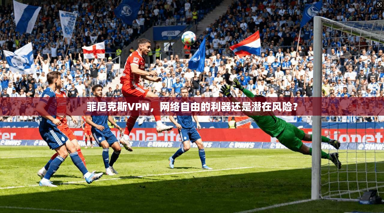 菲尼克斯VPN，网络自由的利器还是潜在风险？