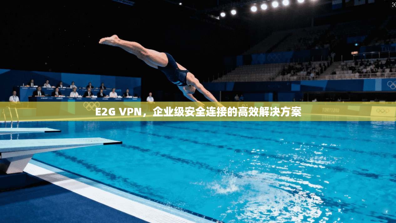 E2G VPN，企业级安全连接的高效解决方案