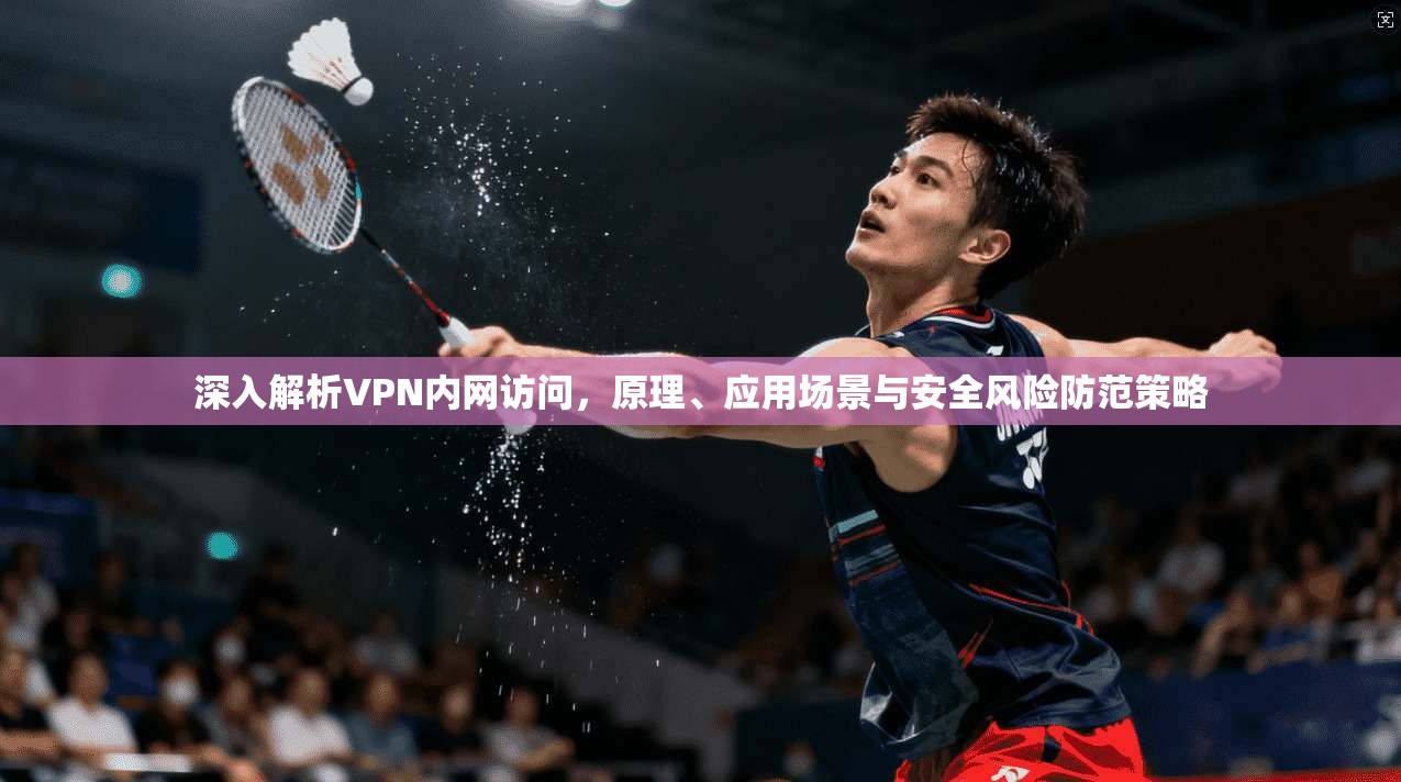 深入解析VPN内网访问，原理、应用场景与安全风险防范策略