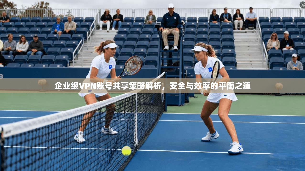 企业级VPN账号共享策略解析，安全与效率的平衡之道